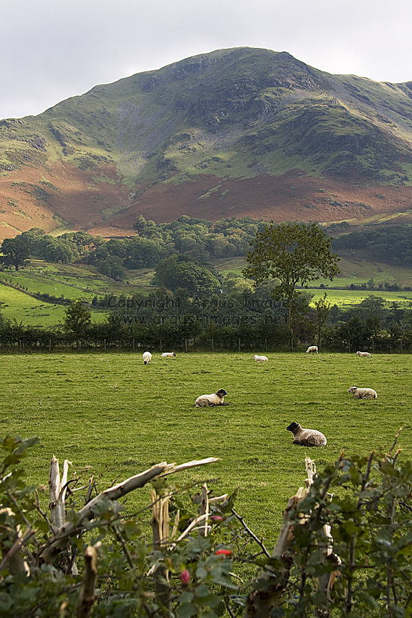 Late summer at Buttermere
